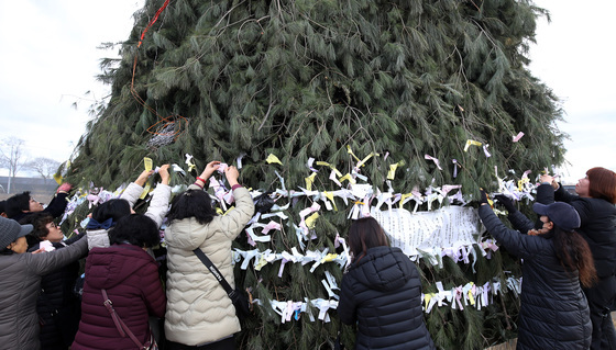 달집에 빌어보는 새해 소원