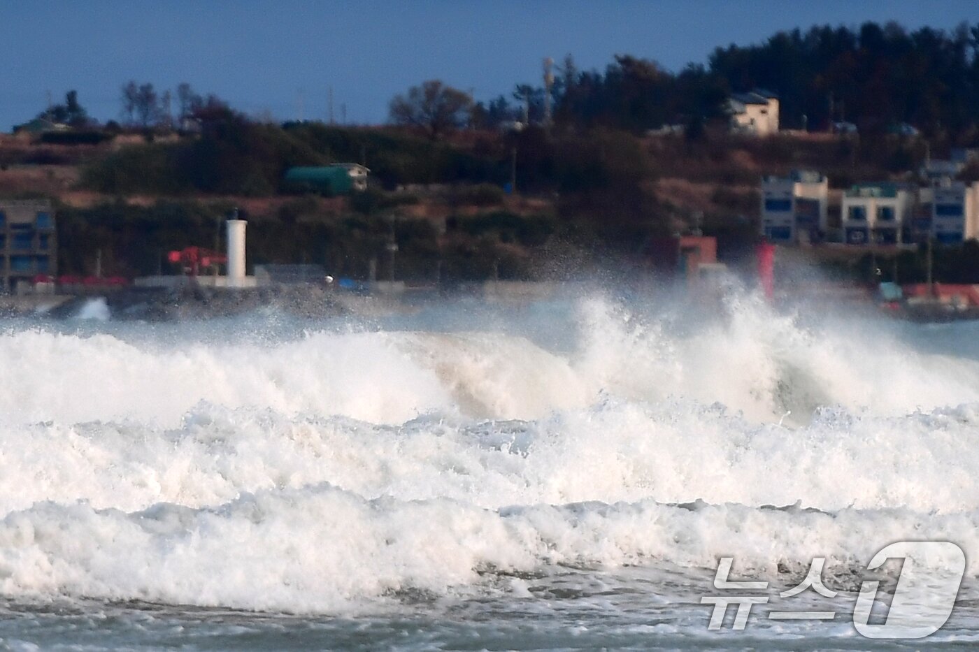 본문 이미지 - 3일 경북 포항시 북구 청하면 월포해수욕장 백사장으로 높은 파도가 밀려들고 있다. 2026.3.3 ⓒ 뉴스1 최창호 기자