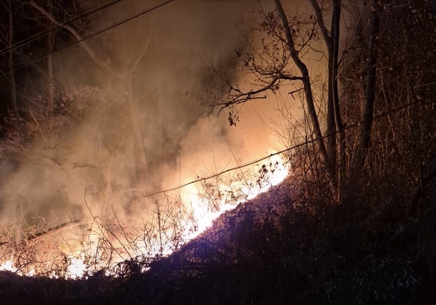 충남 홍성 장곡면서 산불…40분 만에 진화
