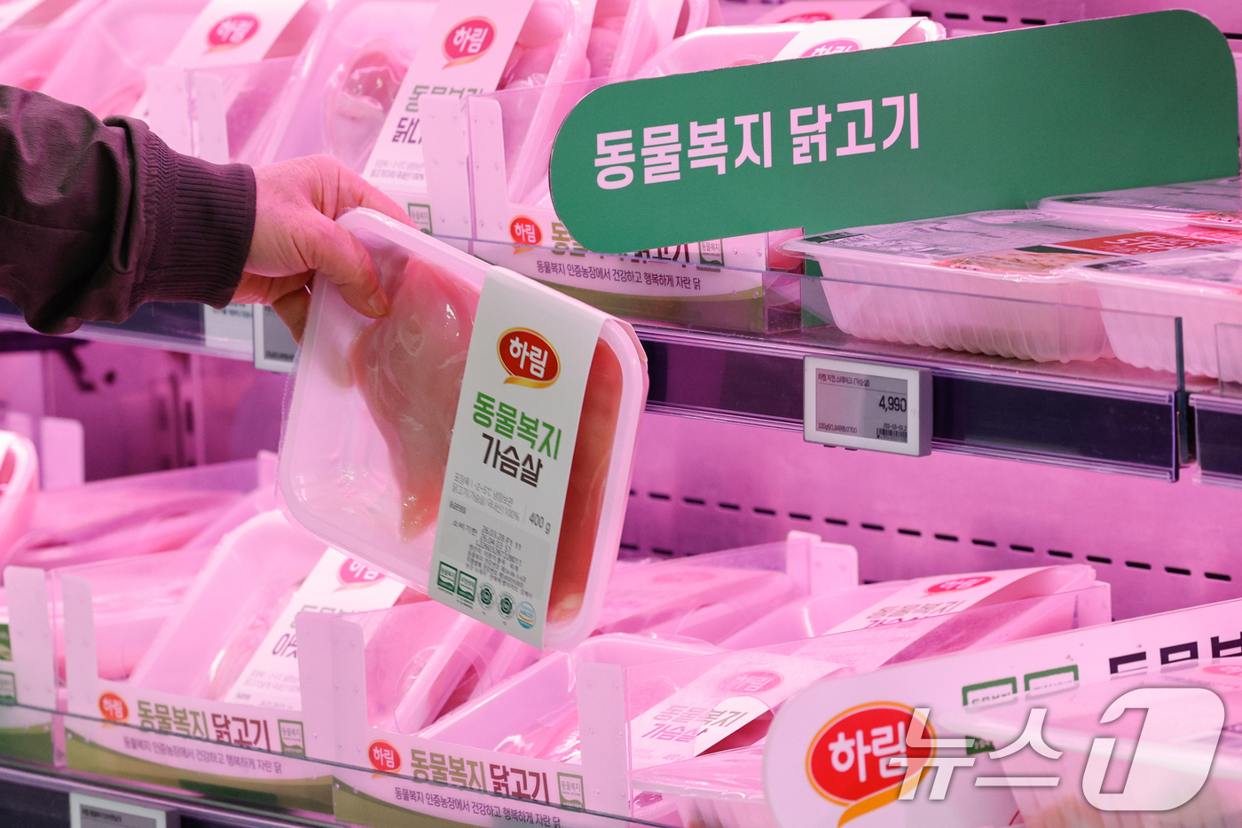 (서울=뉴스1) 안은나 기자 = 고병원성 조류인플루엔자(AI) 확산과 환율 상승으로 인한 사료값 인상 여파로 닭고기 소매가격이 16% 가까이 오른 30일 서울 시내 대형마트를 찾은 …