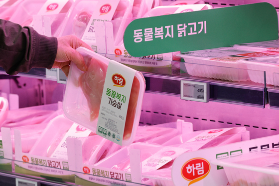 '닭고기 골라볼까'