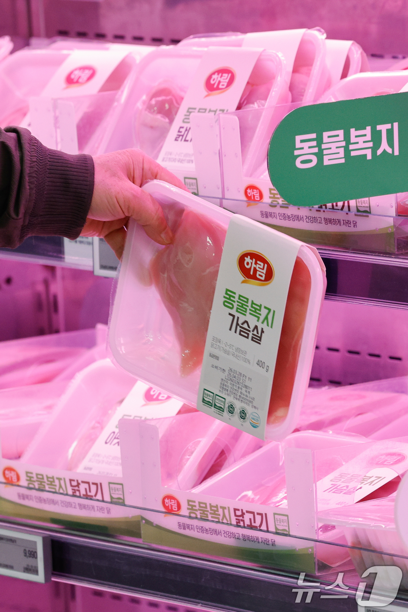 (서울=뉴스1) 안은나 기자 = 고병원성 조류인플루엔자(AI) 확산과 환율 상승으로 인한 사료값 인상 여파로 닭고기 소매가격이 16% 가까이 오른 30일 서울 시내 대형마트를 찾은 …