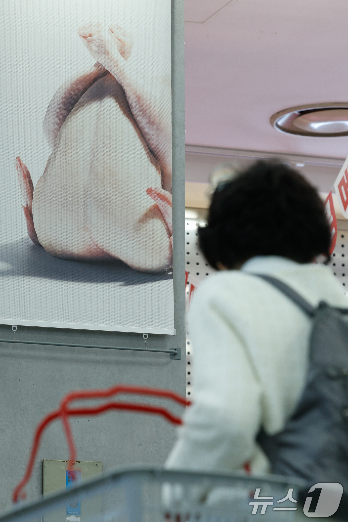 (서울=뉴스1) 안은나 기자 = 고병원성 조류인플루엔자(AI) 확산과 환율 상승으로 인한 사료값 인상 여파로 닭고기 소매가격이 16% 가까이 오른 30일 서울 시내 대형마트를 찾은 …