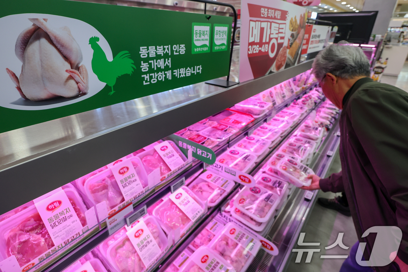 (서울=뉴스1) 안은나 기자 = 고병원성 조류인플루엔자(AI) 확산과 환율 상승으로 인한 사료값 인상 여파로 닭고기 소매가격이 16% 가까이 오른 30일 서울 시내 대형마트를 찾은 …