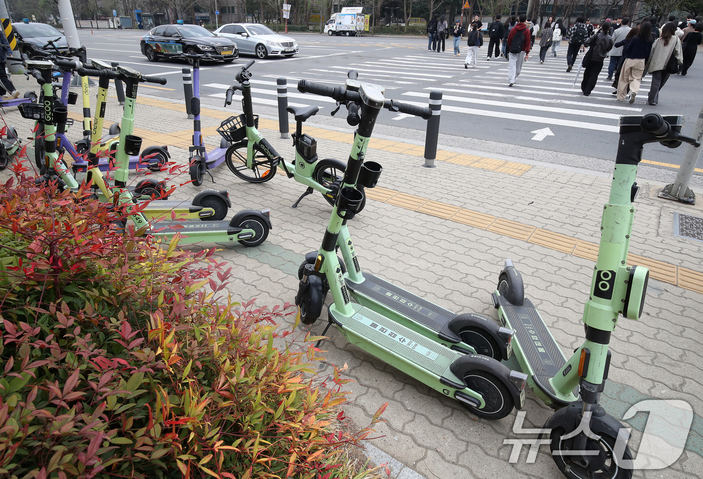 (대구=뉴스1) 공정식 기자 = 30일 오전 대구 달서구의 한 대학교 울타리 주변에 세워진 전동킥보드, 전기자전거 등 개인형 이동장치(PM)가 인도를 차지해 캠퍼스 미관을 해치는 …