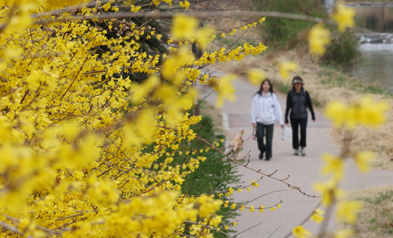포근한 봄 날씨