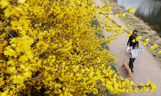 3월 마지막 날 오전까지 봄비…미세먼지 씻고 포근(종합)