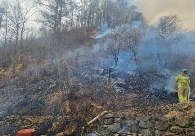 양구 국토정중앙면 원리서 산불…헬기 5대 투입해 51분 만에 진화