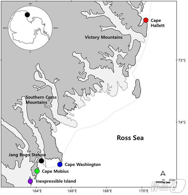 본문 이미지 - 남극 로스해 북빅토리아랜드 해안의 남극도둑갈매기 번식지: 케이프 할렛(Cape Hallett), 케이프 워싱턴(Cape Washington), 케이프 뫼비우스(Cape Möbius), 인익스프레서블섬(Inexpressible Island)(극지연구소 제공)