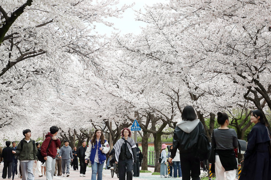 [오늘의 날씨]대구·경북(1일,수)…흐리고 가끔 비, 최고 14~17도