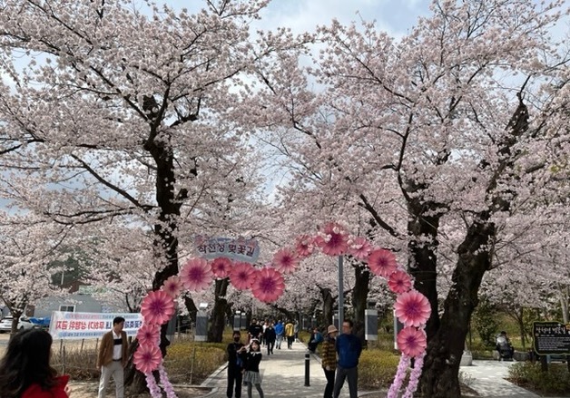 '울주 작천정 벚꽃축제' 4월 5일까지 열려…불꽃쇼 등 다채