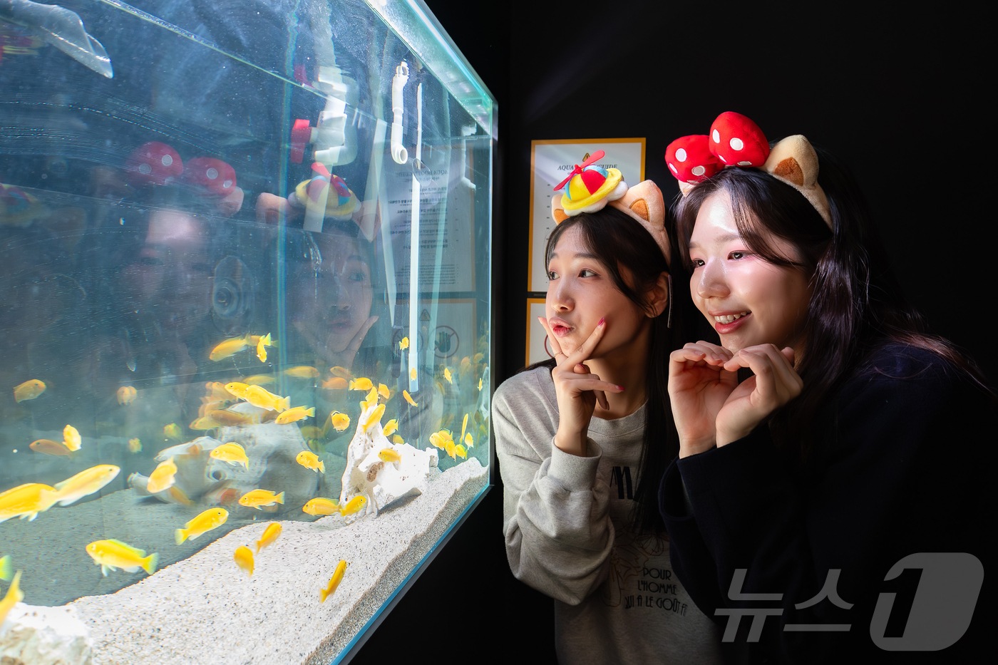 (서울=뉴스1) = 롯데월드 어드벤처가 다양한 콘셉트로 사진 촬영이 가능한 복합 포토부스 매장인 '포토 스트리트'를 오픈했다고 31일 밝혔다. 사진은 다양한 테마형 공간에서 인증샷 …