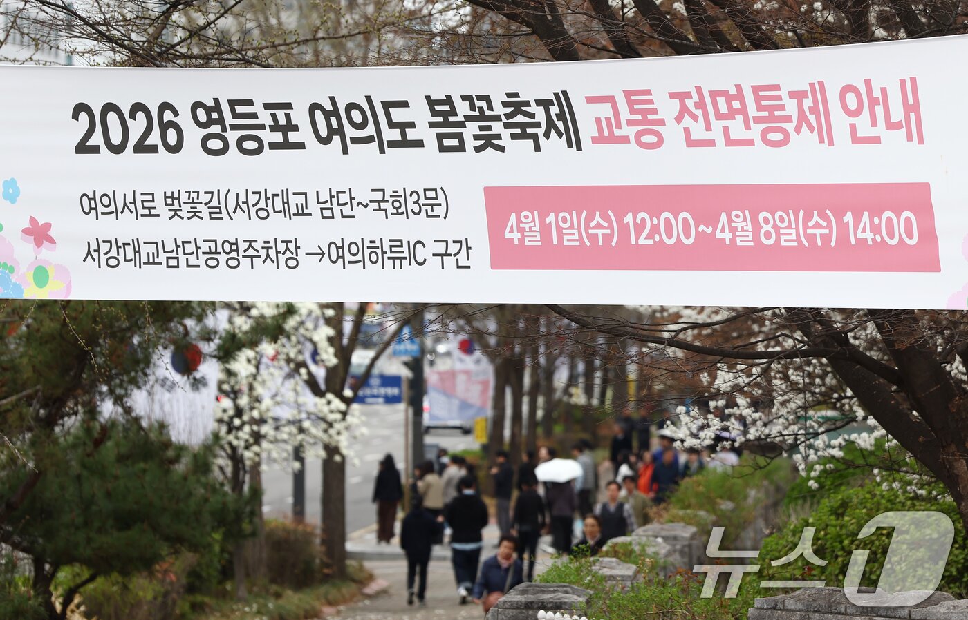 본문 이미지 - 31일 오후 서울 여의도 윤중로 벚꽃길 인근에 2026 여의도 봄꽃축제 교통 전면통제 안내 현수막이 걸려 있다. 2026.3.31 ⓒ 뉴스1 김민지 기자