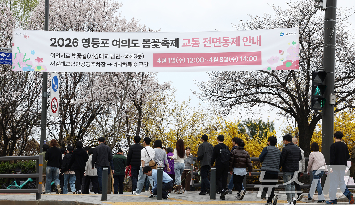 (서울=뉴스1) 김민지 기자 = 31일 오후 서울 여의도 윤중로 벚꽃길 인근에 2026 여의도 봄꽃축제 교통 전면통제 안내 현수막이 걸려 있다.서울을 대표하는 '여의도 봄꽃축제'는 …