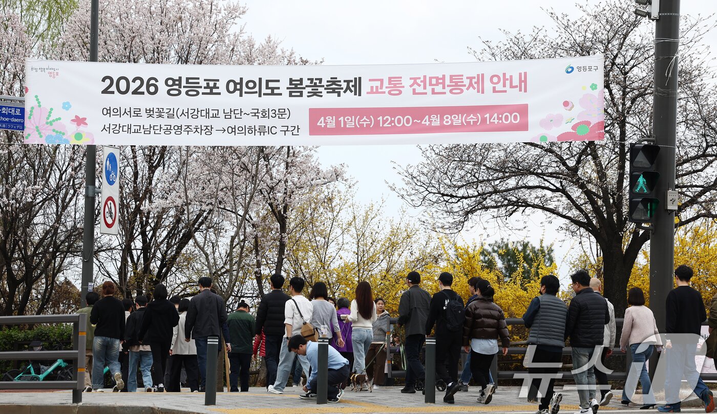 본문 이미지 - 31일 오후 서울 여의도 윤중로 벚꽃길 인근에 2026 여의도 봄꽃축제 교통 전면통제 안내 현수막이 걸려 있다. 2026.3.31 ⓒ 뉴스1 김민지 기자