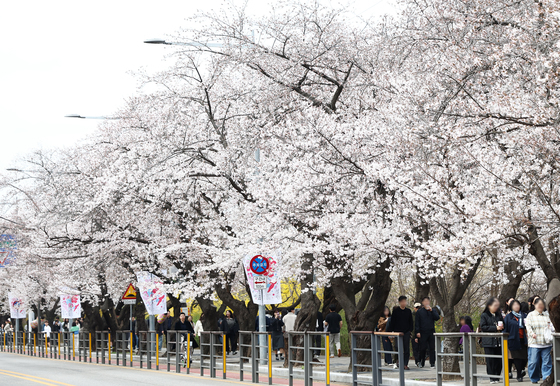 [오늘의 날씨] 울산(1일, 수)…오후부터 비, 해상 높은 물결