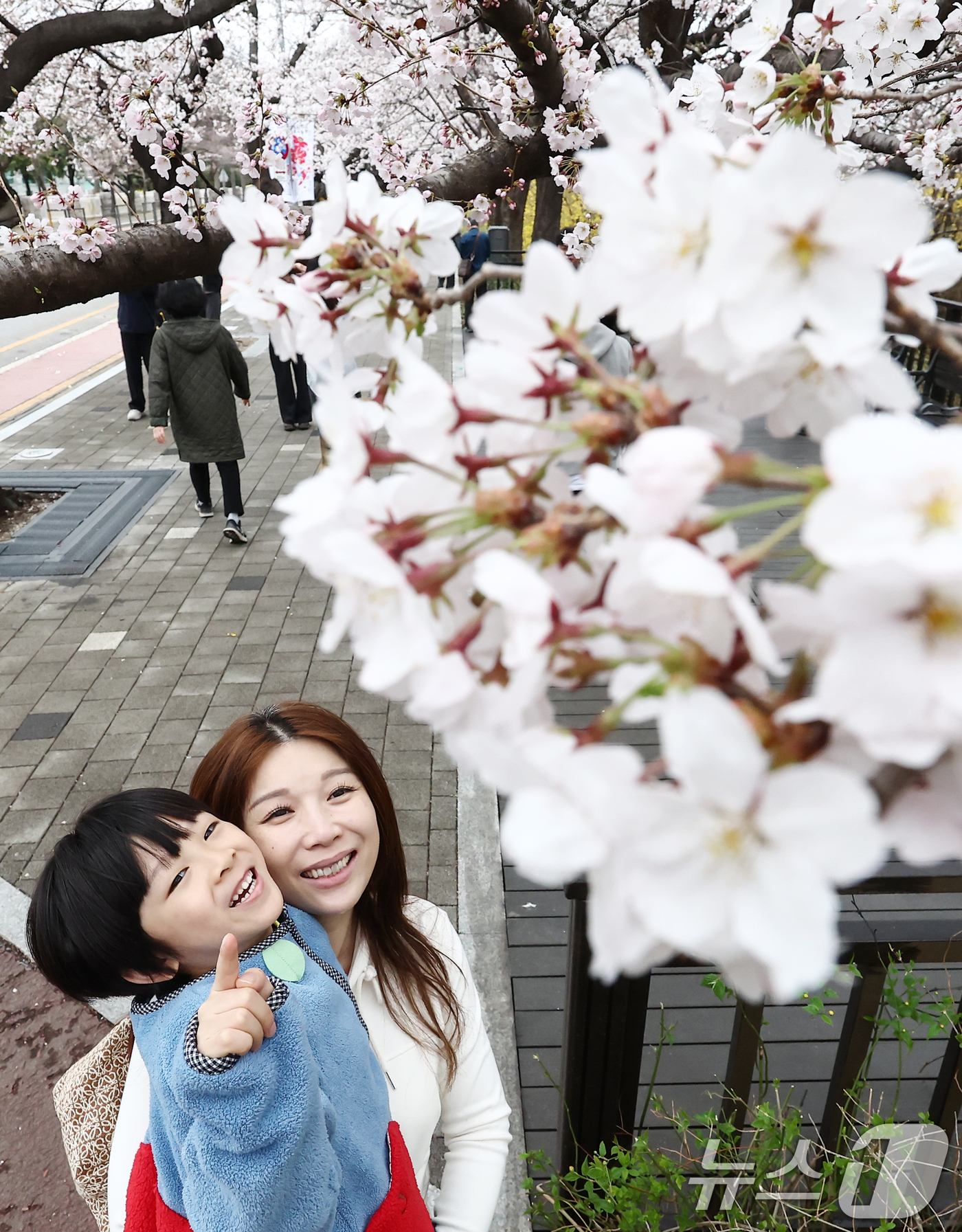 (서울=뉴스1) 김민지 기자 = 따뜻한 봄 날씨를 보인 31일 오후 서울 여의도 윤중로 벚꽃길에서 시민들이 활짝 핀 벚꽃을 즐기고 있다.서울을 대표하는 '여의도 봄꽃축제'는 다음 …