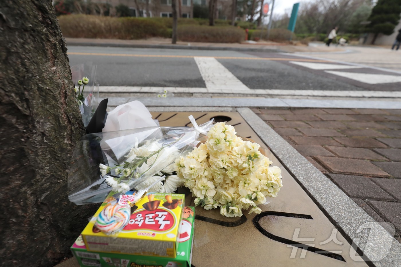 (울산=뉴스1) 김세은 기자 = 31일 울산 북구 신천동의 아파트 단지 내 도로변에 교통사고로 숨진 초등학생을 추모하기 위한 꽃들과 과자가 놓여있다. 2026.3.31/뉴스1