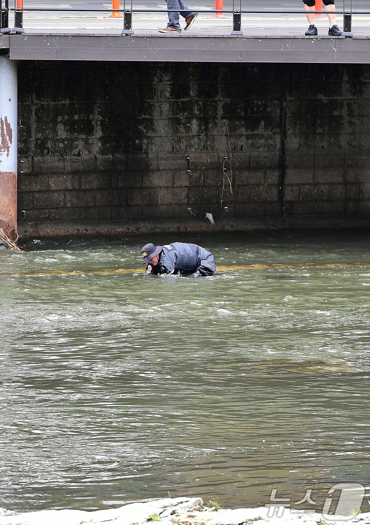 (대구=뉴스1) 공정식 기자 = 31일 오전 10시 30분쯤 "신천에 수상한 캐리어가 있다"는 신고를 접수한 경찰이 대구 북구 칠성동 잠수교 주변을 수색하고 있다. 경찰은 캐리어 …
