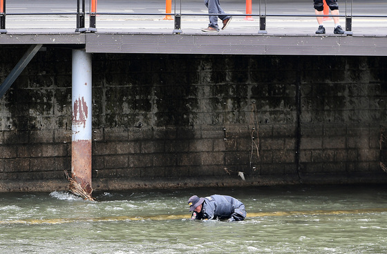 '시신 토막' 가능성…대구 잠수교 아래 캐리어 속 시신 수사 확대