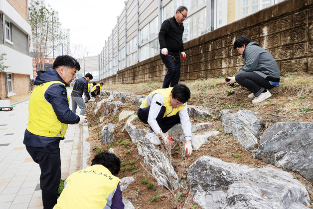충북교육청, 식목일 맞아 청주 용아중에 꽃잔디 480본 심어