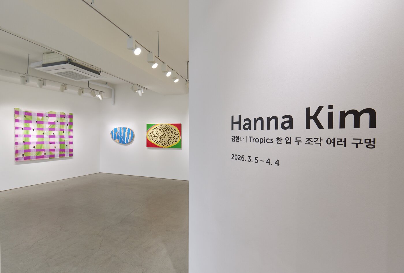 본문 이미지 - 김한나 '트로픽스: 한 입, 두 조각, 여러 구멍'전 전시 전경 (페이토갤러리 제공)