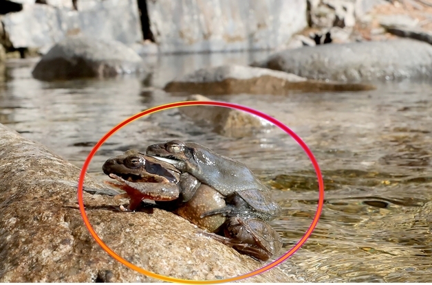 [오늘의 날씨] 충북·세종(5일, 목)…대체로 흐리고 비 또는 눈