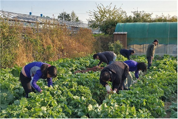 부산시 농업기술센터, 예비 귀농·귀촌인 돕는 '영농 드림팀' 교육생 모집