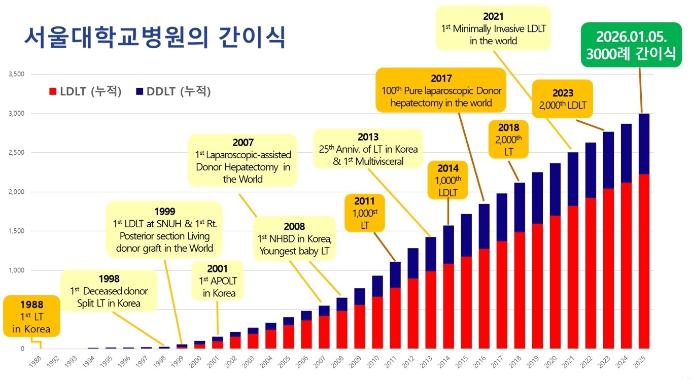 본문 이미지 - 서울대병원 간이식 누적 그래프.(서울대병원 제공)