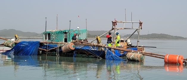 전남도, 4월 말까지 불법 실뱀장어 포획 행위 단속