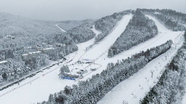 3월에도 폭설…평창 모나용평리조트, 스키장 연장 검토