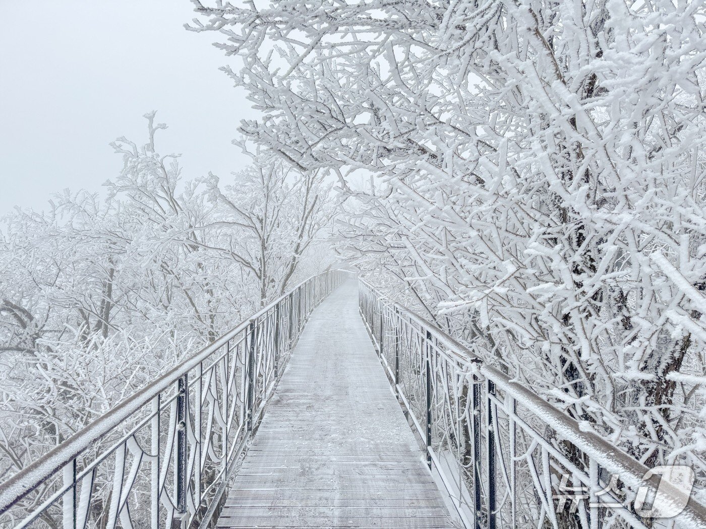 본문 이미지 - 강원 평창군 모나용평리조트가 이달 초 폭설로 스키장 운영 연장을 검토하는 가운데, 최근 리조트 주변 발왕산이 설경을 나타내고 있다. (모나용평리조트 제공. 재판매 및 DB금지) 2026.3.4/뉴스1