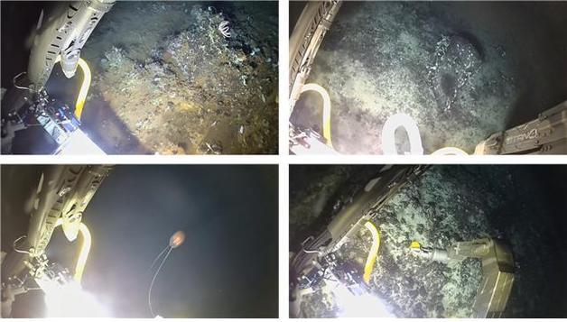 극지연, 세계 최초 남극 심해 열수서 무인 잠수정 탐사 성공