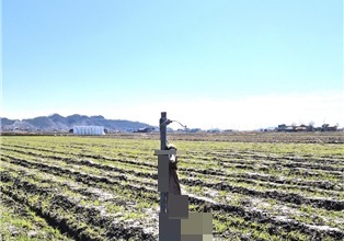 불밥 포획한 기러기, 쇠막대기에 매달아 둔 50대…경찰 조사