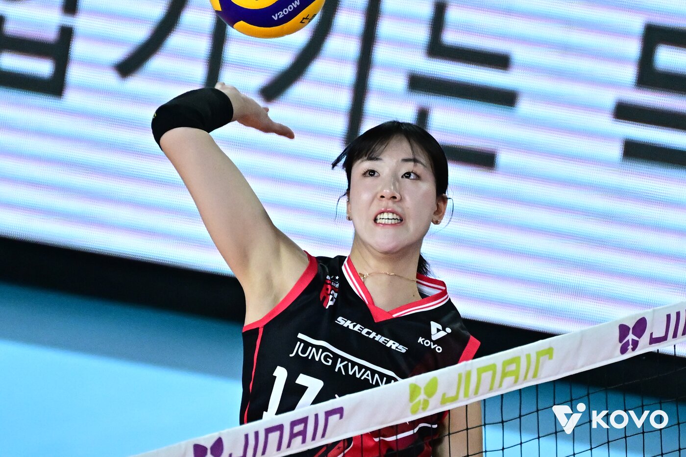 본문 이미지 - 정관장 정호영. (KOVO 제공)