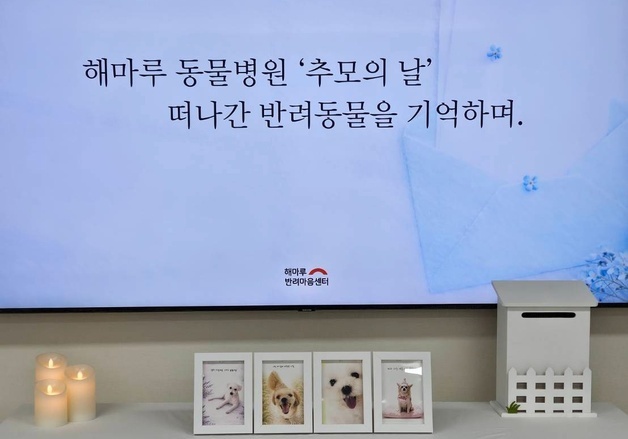 해마루동물병원 반려마음센터 '추모의 날'…"원내에서 보호자 위로"