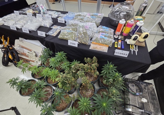 타이어·약통·아기침대에 은닉…마약 유통 수법 치밀해졌다