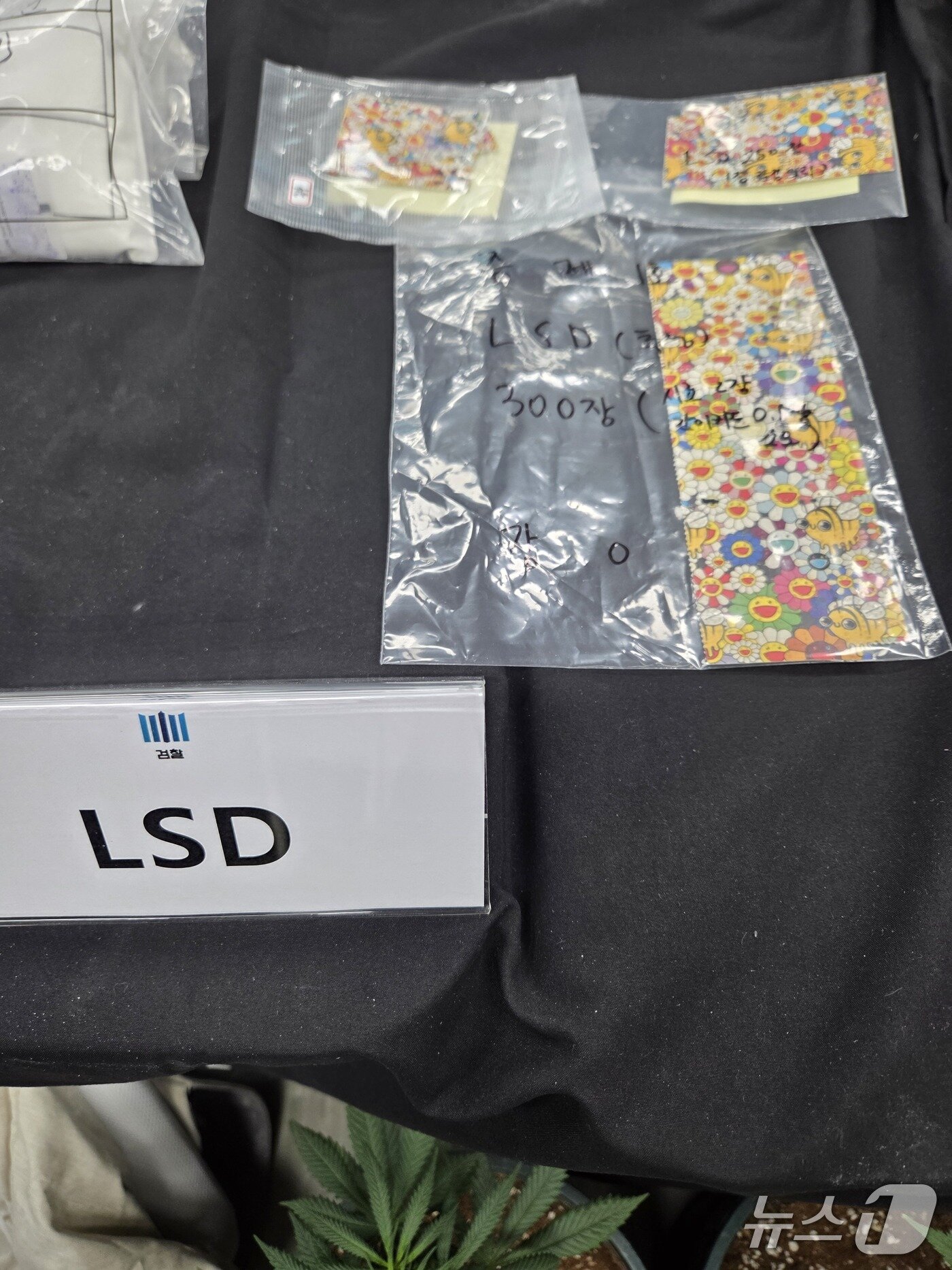 본문 이미지 - 마약범죄 정부합동수사본부 출범 100일 브리핑.2026.3.4/뉴스1 ⓒ News1 배수아 기자 (재판매 및 DB금지)