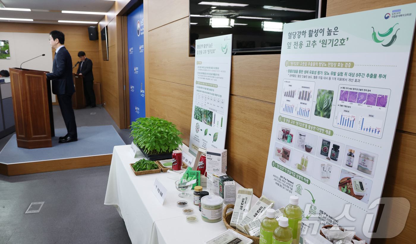 (세종=뉴스1) 김기남 기자 = 김대현 농촌진흥청 국립원예특작과학원장이 4일 세종시 정부세종청사 농식품부에서 고춧잎을 고부가가치 소재로 탈바꿈시킨 ‘원기2호’ 산업화 성과와 이를 …