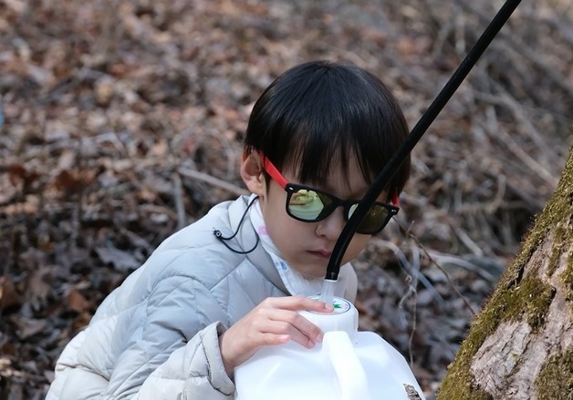 진안고원 운장산 고로쇠축제 14~15일 운일암반일암서 개최