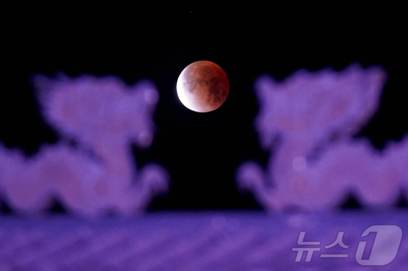 본문 이미지 - 3일 멕시코 멕시칼리에서 개기월식이 진행되는 동안 붉은달이 차이나타운 라 치네스카의 문 위로 떠오르고 있다. ⓒ 로이터=뉴스1