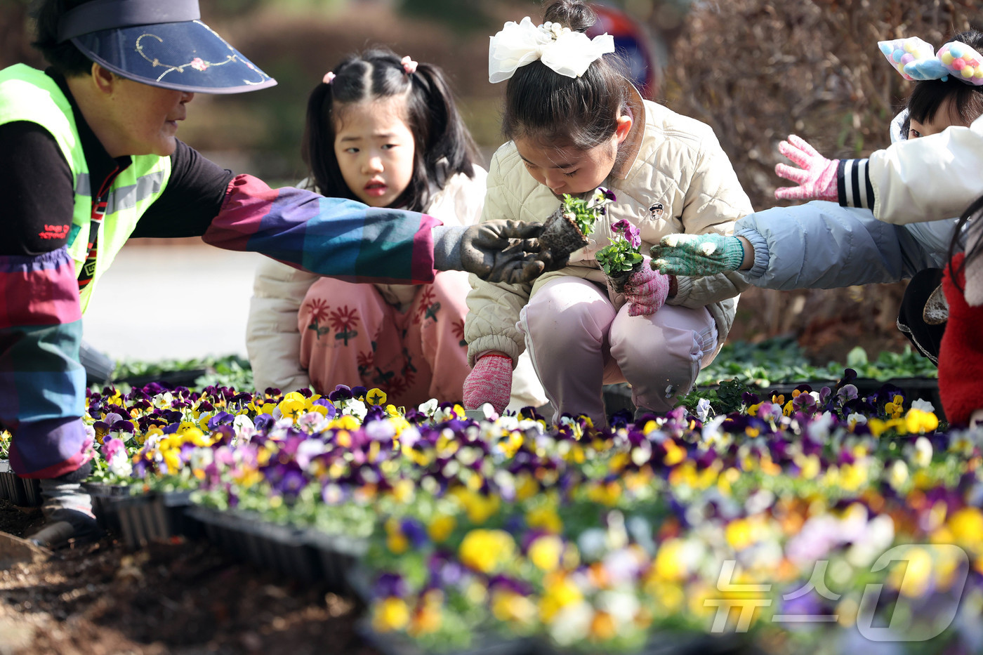 (광주=뉴스1) 박지현 기자 = 초봄 날씨를 보인 4일 광주 북구청 광장에서 직원과 북구청직장어린이집 아이들이 따뜻한 봄 햇살아래 팬지, 비올라 등의 봄꽃을 심고 있다. (광주 북 …