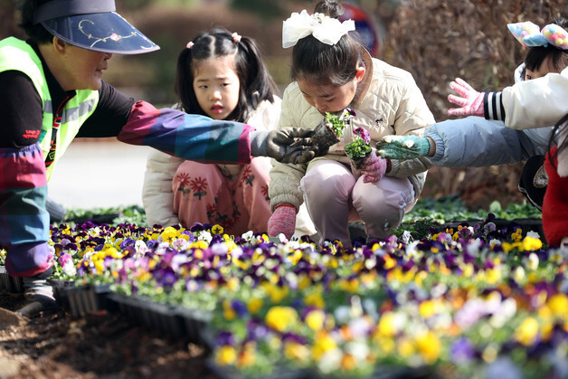 봄을 부르는 꽃식재