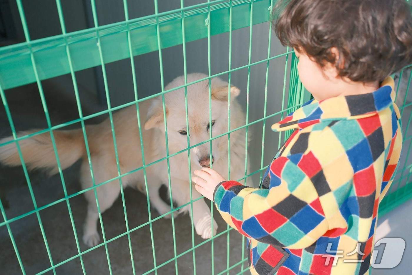 본문 이미지 - 제주 한림쉼터 모습.(김명곤 씨 제공. 재판매 및 DB 금지)