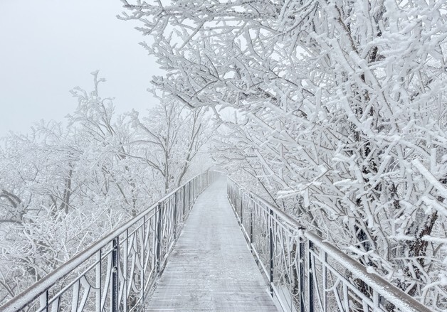 모나용평, 3월초 40cm 대설로 설경 이어진다…22일까지 운영