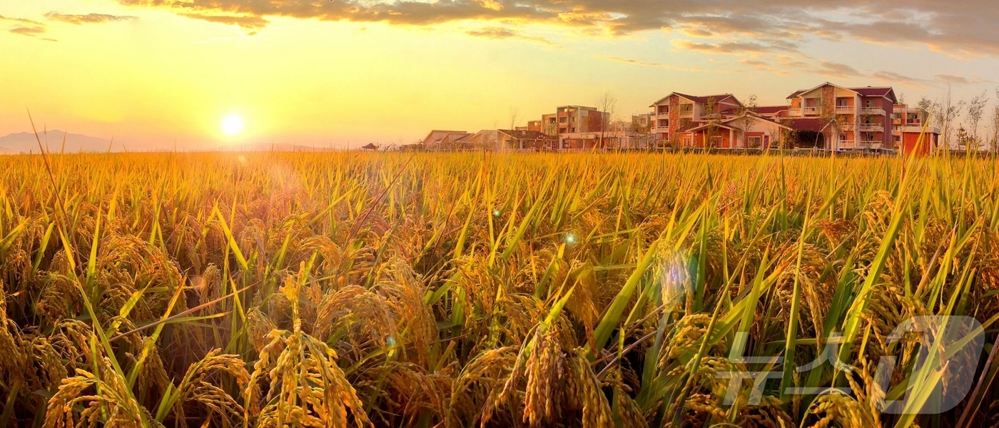 (평양 노동신문=뉴스1) = 북한 노동당 기관지 노동신문은 5일 '토지개혁법' 발표 80주년을 맞아 "토지개혁으로부터 시작된 이 땅의 변천사는 세월의 흐름과 함께 보다 위대하고 거 …