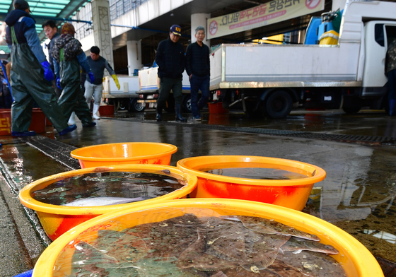 [오늘의 날씨]대구·경북(6일,금)…비 그친 뒤 기온 '뚝'↓