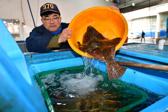 몸값 자랑하는 돌도다리