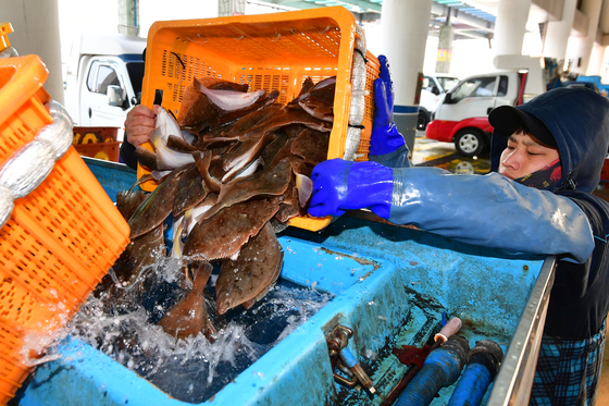 도다리와 가자미가 한가득
