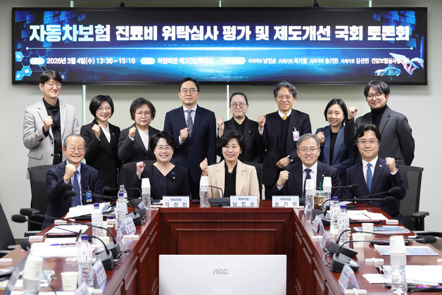 "자동차보험, 공적 심사 체계 중심 운영 필요"